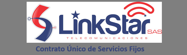 Contrato Único de Servicio